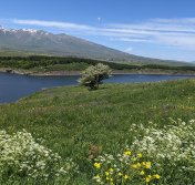 5 hikes to welcome spring in Armenia